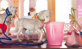 Eowyn’s Horses